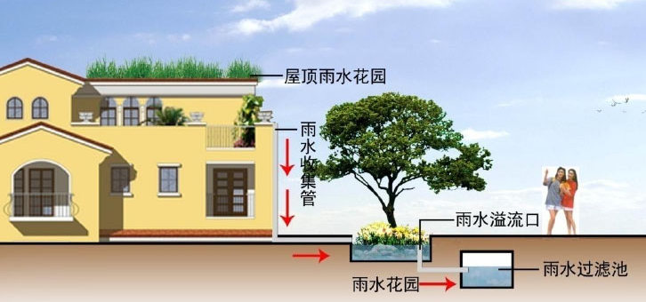 雨水收集系統(tǒng)的幾種類型知道嗎？由哪些結構組成？